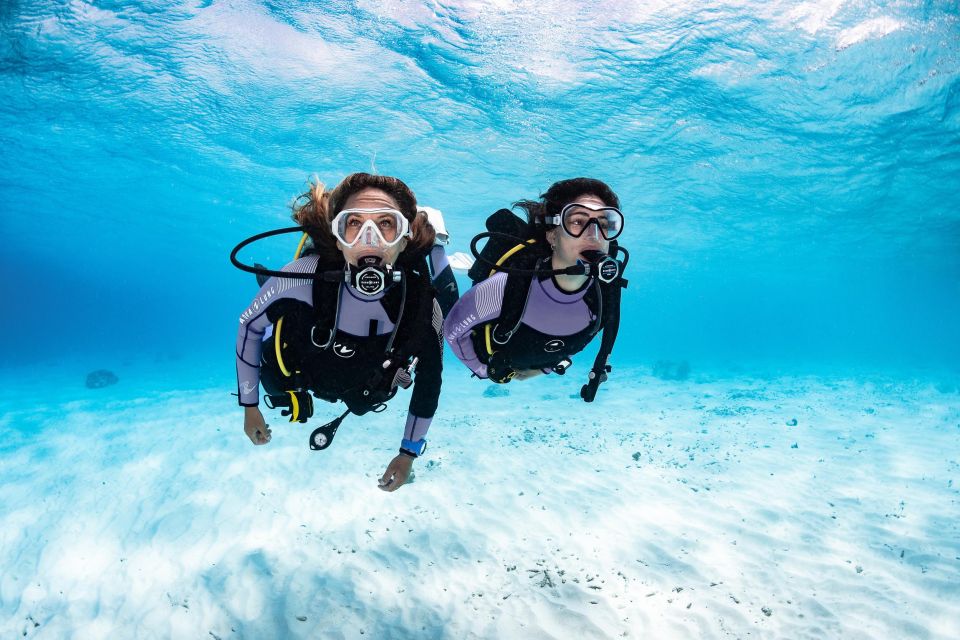 Discover Scuba Diving in Dubai