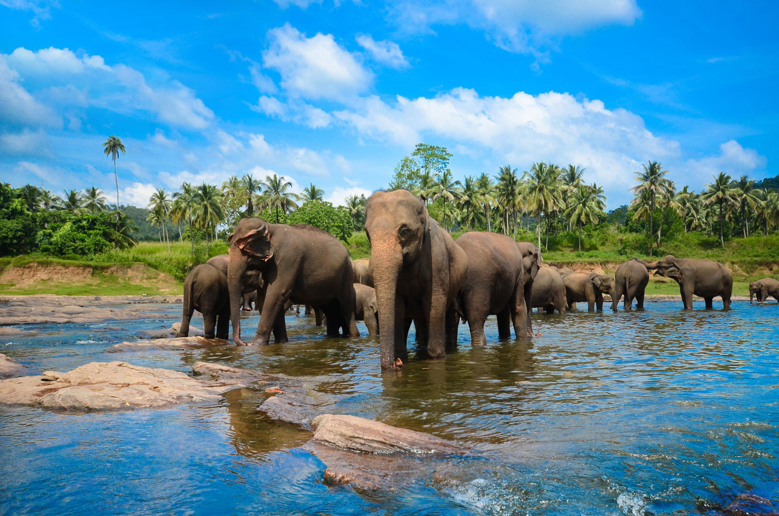 DISCOVER THE HIDDEN GEMS OF SRI LANKA IN 7 DAYS