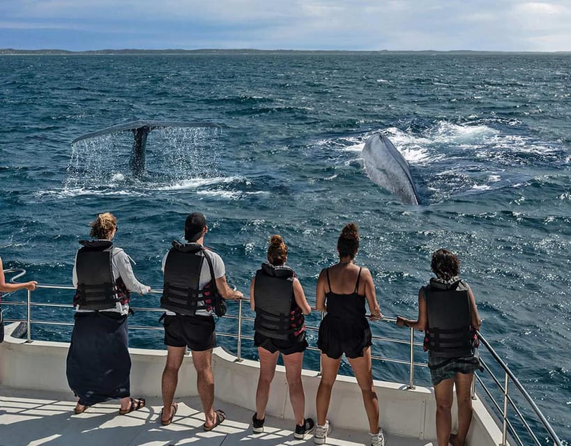 All Inclusive Mirissa Morning Whale Watching Boat Tour